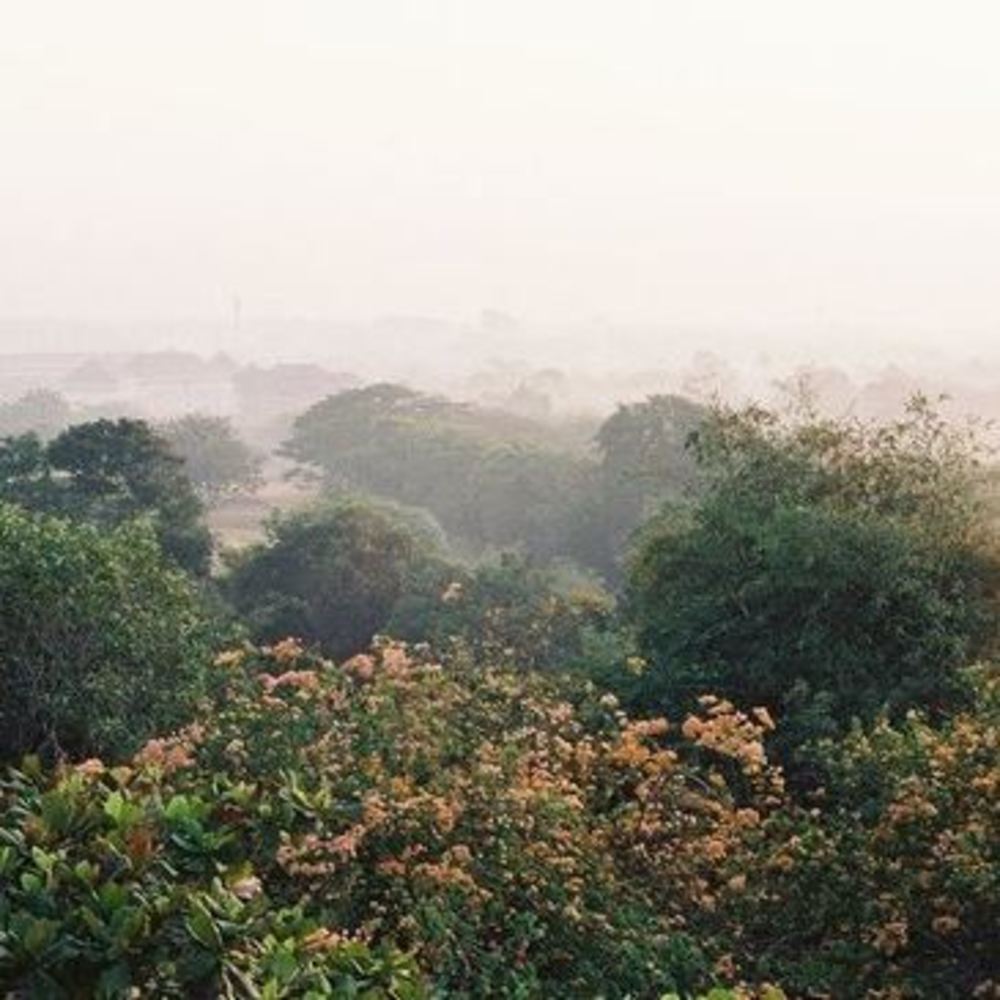 Meet your Posher, Sky